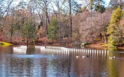Friday Fotos: (Still) more from Longwood Gardens