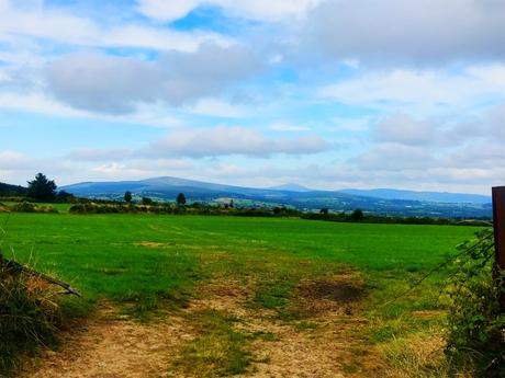 The E8 Trail Day Six: Graiguenamanagh to Mullinavat The E8 Trail Day Six: Graiguenamanagh to Mullinavat