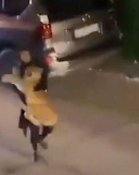 Shock As Girl Catches Escaped Lion And Casually Carries It Down The Street (Photos)