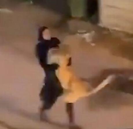 Shock As Girl Catches Escaped Lion And Casually Carries It Down The Street (Photos)