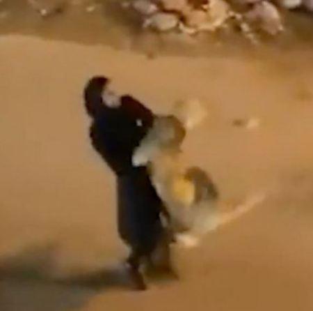 Shock As Girl Catches Escaped Lion And Casually Carries It Down The Street (Photos)