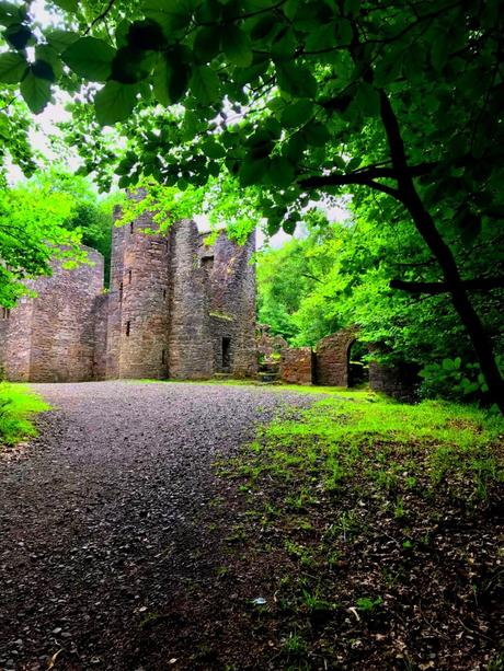 The E8 Trail Days Nine and Ten: Rest Day and Clonmel to Clogheen