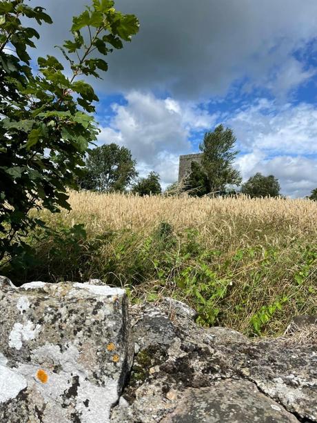 The E8 Trail Day Eight: Carrick on Suir to Clonmel