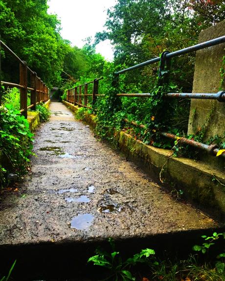 The E8 Trail Day Seven: Mullinavat to Carrick on Suir