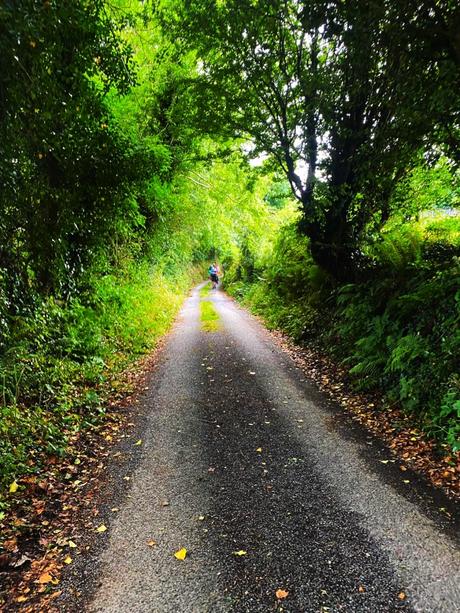 The E8 Trail Day Seven: Mullinavat to Carrick on Suir