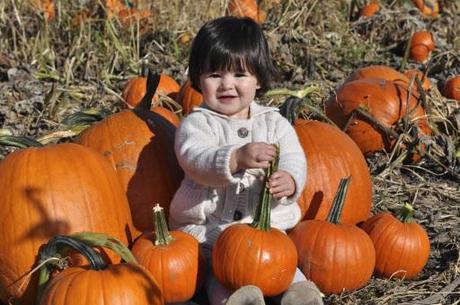 Queen of the pumpkin patch!