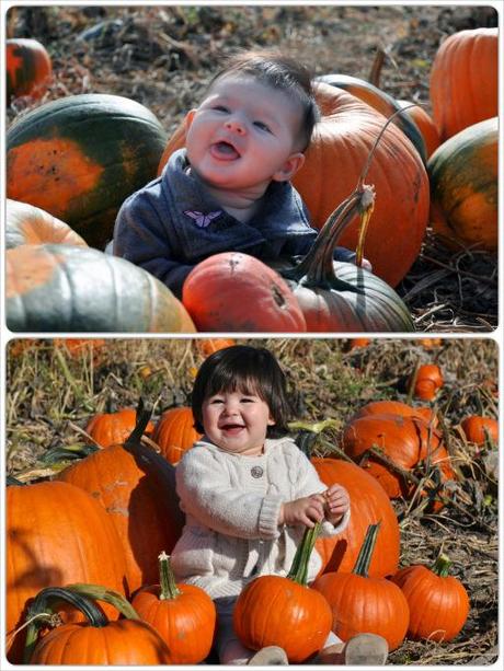 Top photo is from last year, bottom is this year. It's amazing how much she has changed, yet she's still the biggest ham!.