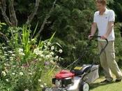 Buying Right Lawnmower