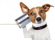 Basic How-Tos Interact with Your