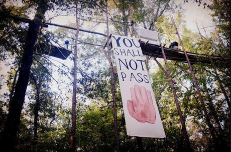 east-texas-tree-sit-keystone-xl-tar-sands-blockade