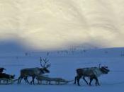 Tips Become Modern Explorer Mikael Strandberg