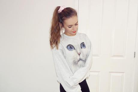  photo skip-and-whistle-cat-jumper-3jpg.jpg