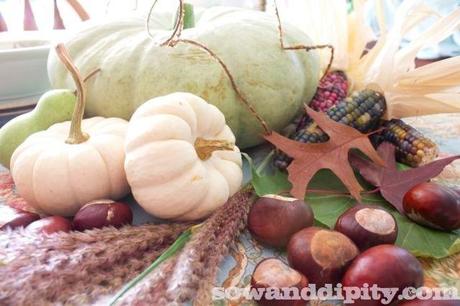 gourds