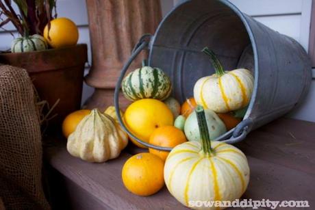 gourds