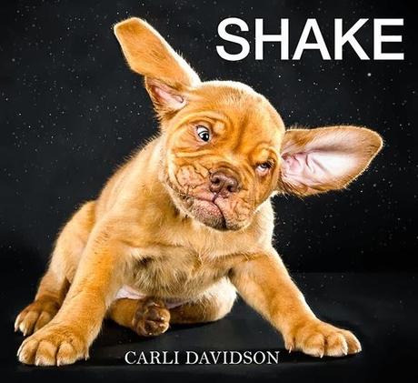 We're all Wet, but Aren't We Beautiful?: DOGS do the Shake!