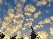 Backyard Skywatch