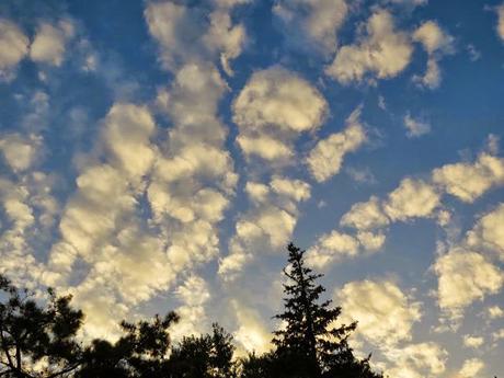 Backyard-Sky-in-Farmingdale-NY