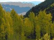 Just Another Scrabble Tournament