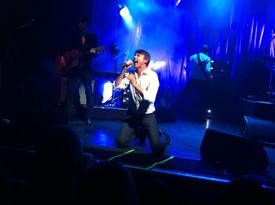 PHOTOGRAPHY: Photos of Suede (Bristol, October 2013)