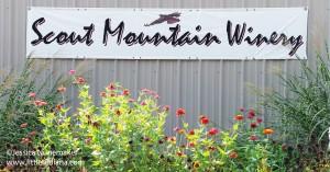 Scout Mountain Winery in Corydon, Indiana