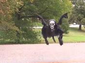 Watch: This Prank People Park with Flying Grim Reaper