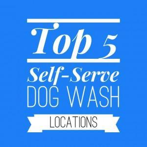 Top-5-Self-Serve-Dog-Wash-locations