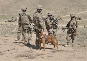 mwd3