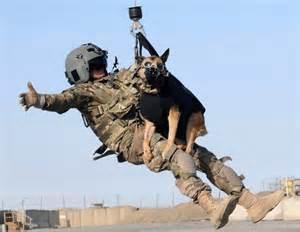 mwd4