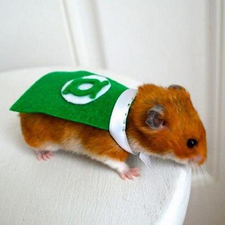 Superhero-Rodents-3