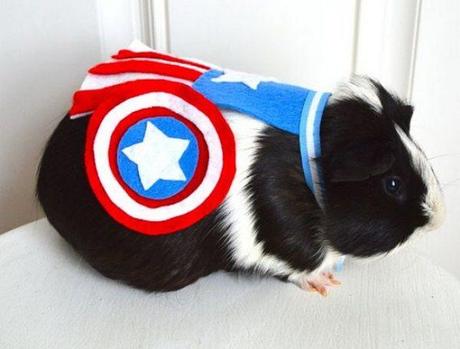 Superhero-Rodents-1