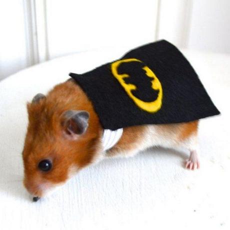 Superhero-Rodents-2