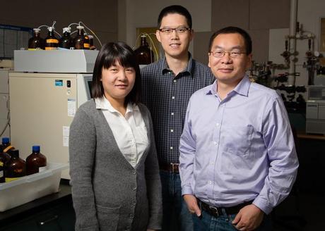 Researchers Lei Zhang, left, and Xinying Wang, center, with Junhua Jiang, a senior research engineer at the Illinois Sustainable Technology Center, are developing high-performance supercapacitors using wood biochar.
