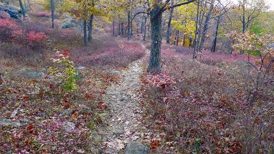 harriman state park.