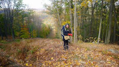 harriman state park.