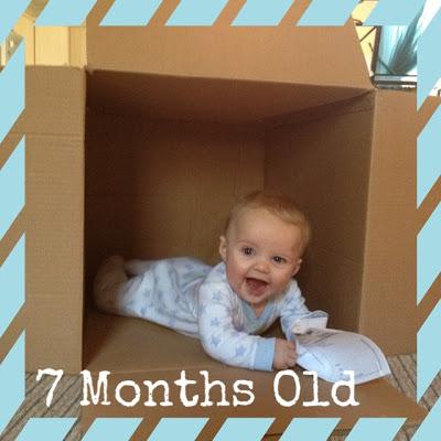 Baby Watch: 7 Months Old