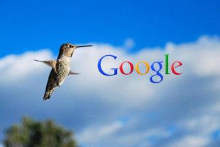 The How, Why, Where and When of Hummingbird and Google