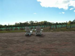 Looking for Harvest at the Cape May Wineries