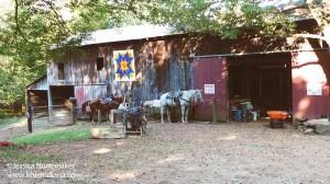 Froehlich's Outfitter and Guide Horse Rides in Cannelton, Indiana