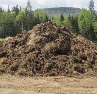 Free Stinky Pile of Manure + Free Shipping