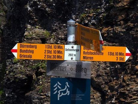 Big Views From the Eiger Trail