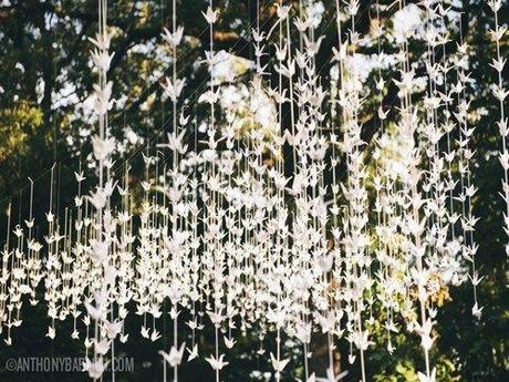 White Paper Cranes