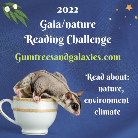 2022 Reading Resolutions and Challenges