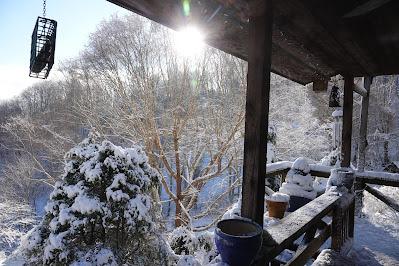 Blue Sky, White Snow