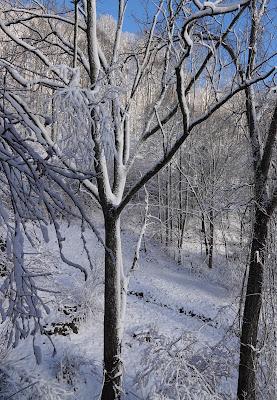 Blue Sky, White Snow