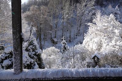 Blue Sky, White Snow