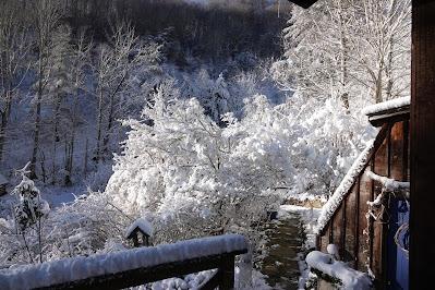 Blue Sky, White Snow