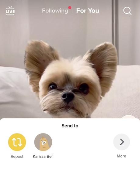 TikTok Offers Repost Button To The Users