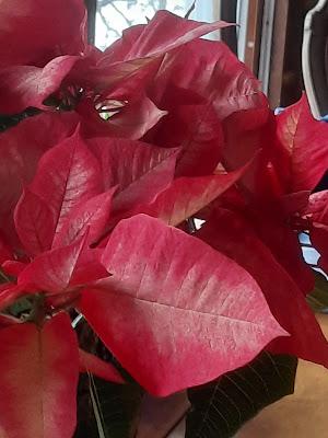 Winter Color