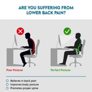 Lumbar Support