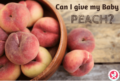 Peaches are a popular food and becoming common in most Indian homes. They're juicy and delicious, but parents have a doubt: Can I give my Baby Peaches?